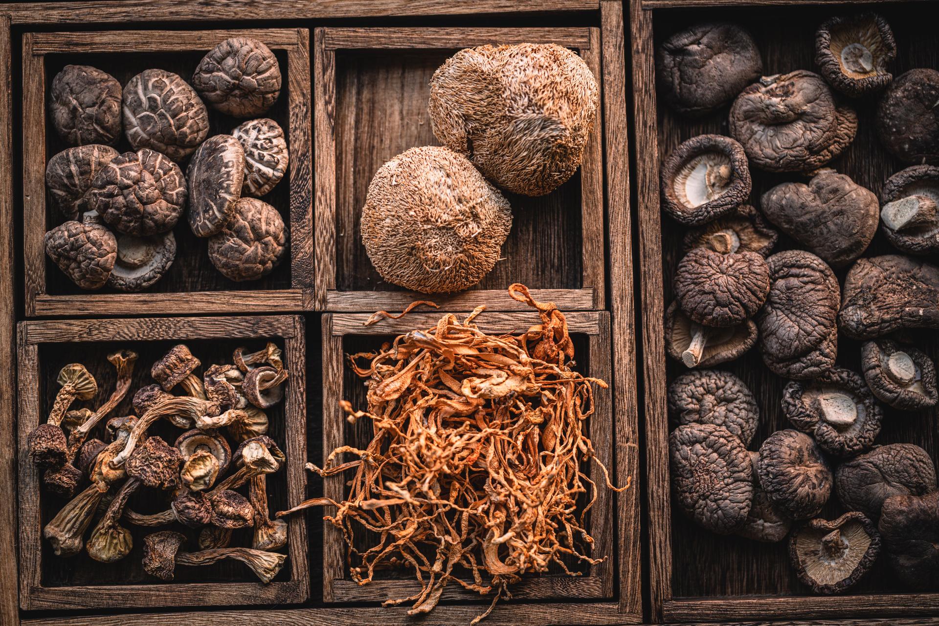 Dried mushrooms in wooden box