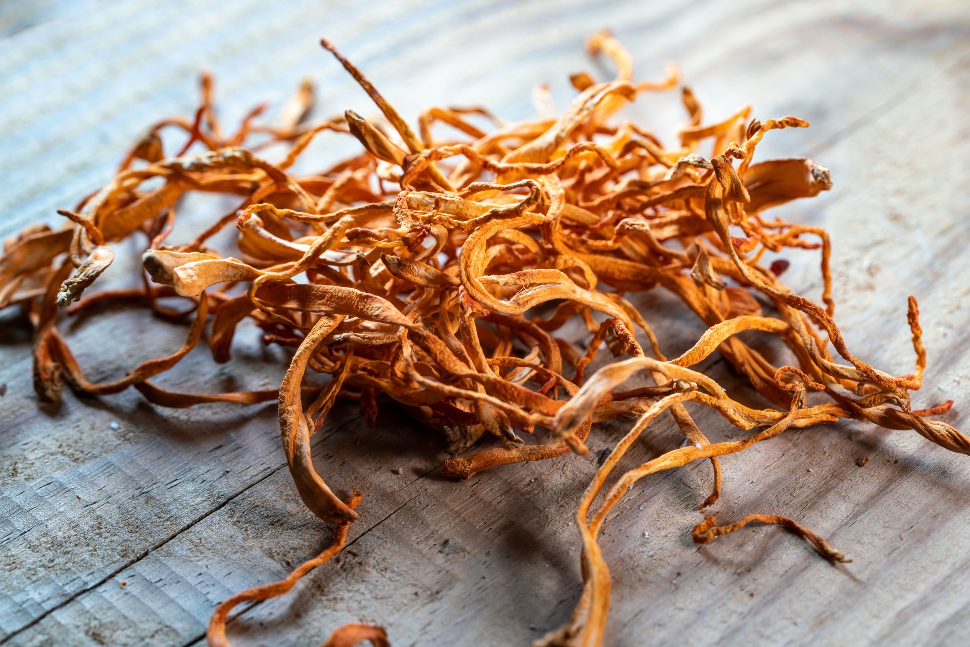 cordyceps flower fungi on wooden table