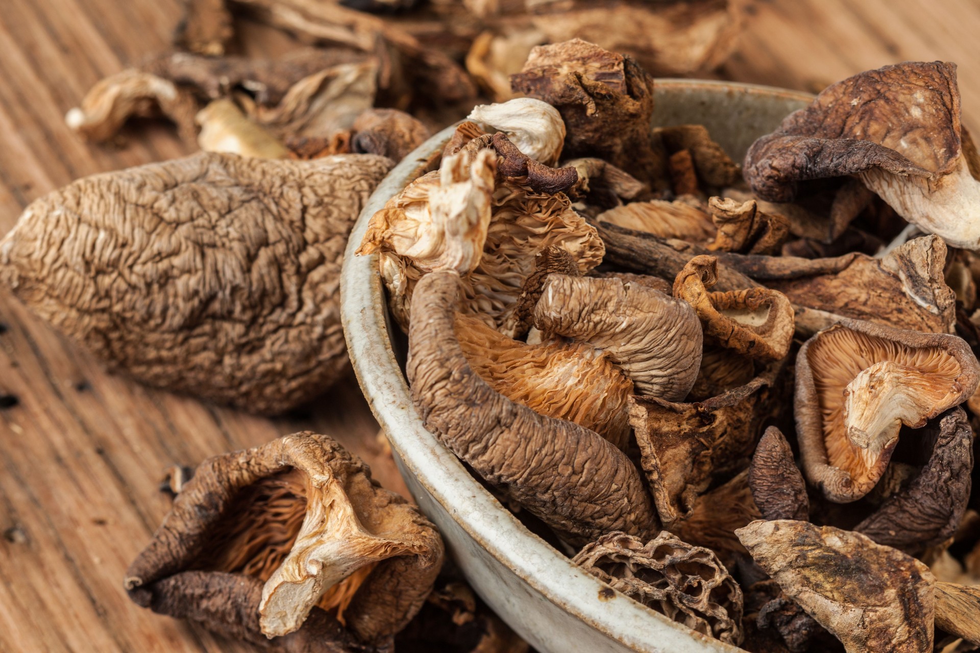 Dried edible mushroom varieties on wood