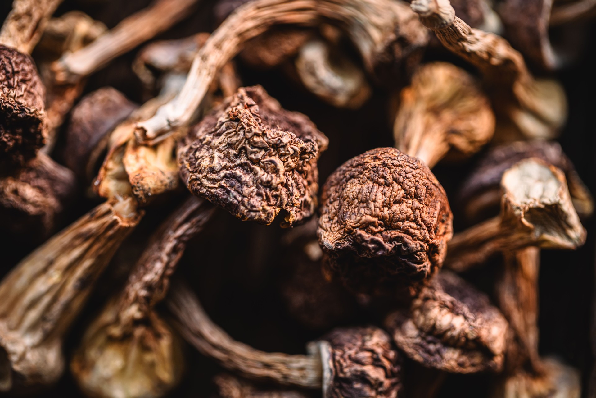 Dried mushrooms in wooden box